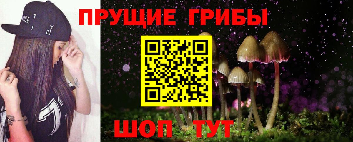 Галлюциногенные грибы Psilocybe  Вход с VPN  Красноармейск  Галлюциногенные грибы Cubensis 