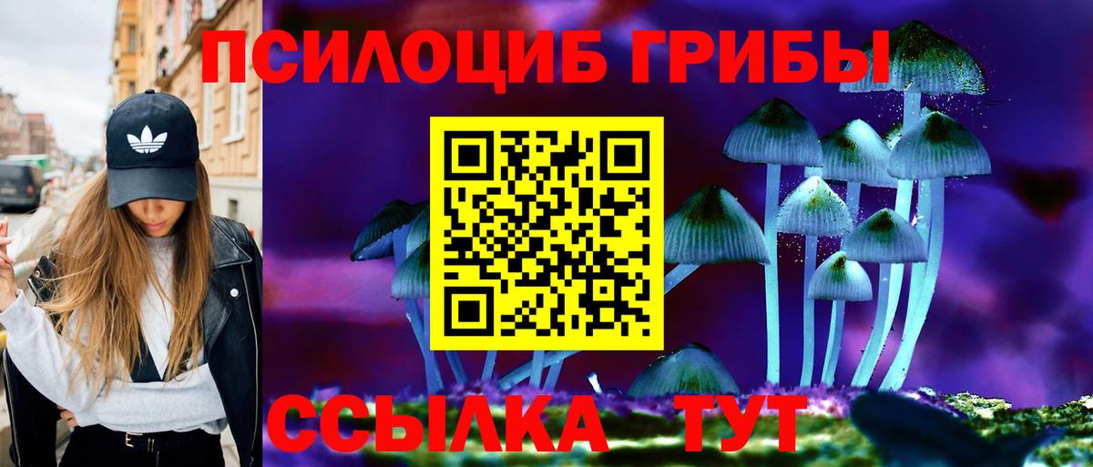 Галлюциногенные грибы ЛСД Красноармейск